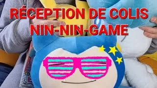 Miniature : Je vous fais découvrir mon dernier colis de chez Nin-Nin-Game !