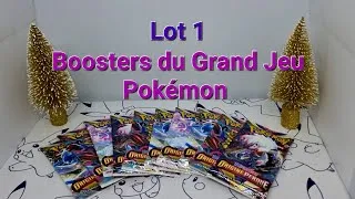 Miniature : Boosters du Grand Jeu Pokémon - Lot 1