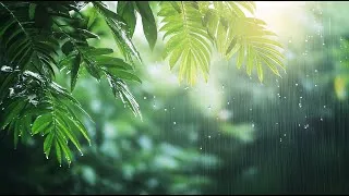 Miniature : 🌧️ Ambiance Pluie Relaxante & Musique Apaisante | Nature et Évasion 🌿 | Détente & Sommeil