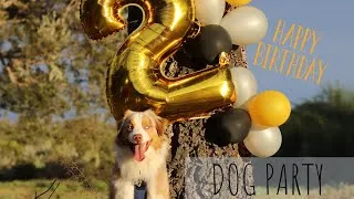 Miniature : DOG PARTY // ON FETE L'ANNIVERSAIRE D'UN CHIEN OUI OUI