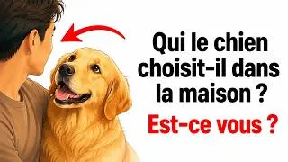 Miniature : Comportement Animal : Ce Que Révèle le Choix du Chien pour Son Humain