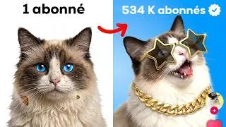 Miniature : J'ai Rendu mon Chat Viral en 5 Jours