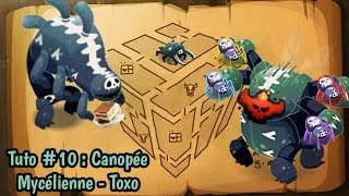 Miniature : Tuto Dédale n°10 : P2/P3 - Les Toxicos - [Dofus Touch]