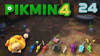 Miniature : PIKMIN 4 EP 24 mantoty vs louis [Let's Play]