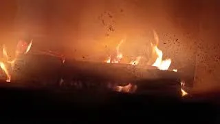 Miniature : Les GG Débat sur le Mercosur DaAlternative ☣️ 