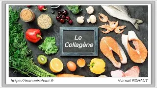 Miniature : Complément alimentaire - supplément nutritionnel - Collagène marin Beautysane Energy Care hydrolysat