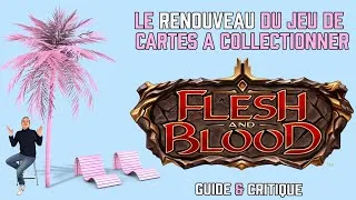 Miniature : Les Minutes Chroniques - Flesh & Blood : le renouveau du JCC !