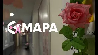 Miniature : Octobre Rose : Ensemble, agissons pour la prévention du cancer du sein - MAPA Assurances