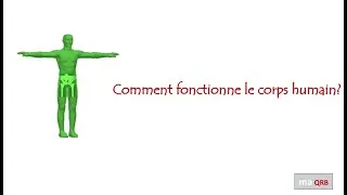 Miniature : Comment fonctionne le corps humain?