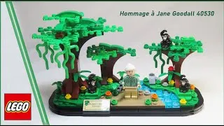 Miniature : Hommage à Jane Goodall LEGO 40530