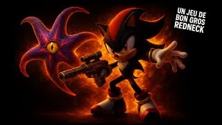 Miniature : CA DONNE QUOI - SHADOW THE HEDGEHOG