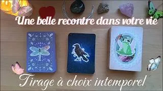 Miniature : 💗 UNE BELLE RENCONTRE VA-T-ELLE ENTRER DANS VOTRE VIE ? 🔮 Guidance Intemporelle à 3 Choix