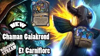 Miniature : New Deck Chaman Conjure - L'envol des Dragons - HEARTHSTONE