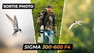 Miniature : Cet oiseau est beaucoup trop RAPIDE ! | Sigma 300-600 F4 en action