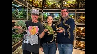 Miniature : 24H dans les coulisses de BEBESAURUS !