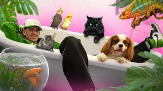Miniature : 24h au coeur du PLUS GRAND salon animalier de France : Animal Expo (Vlog)
