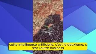 Miniature : L'Agriculture Française en Danger ? Le Choc de 2030 🚨