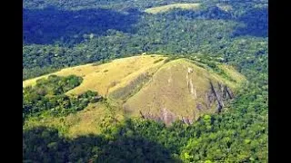 Miniature : Le massif forestier de Minkebe au Gabon.