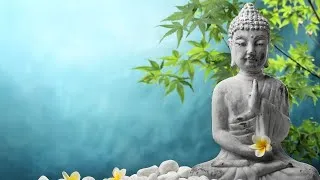 Miniature : Relaxation & Meditation Music 🧘🎵 Relaxing Atmosphere [10 Hours] Stress Relief