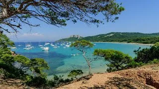 Miniature : Sea Waves 🌊 & Birds Singing🐦 For Relaxing [SOUND OF OCEAN] 10 Hours