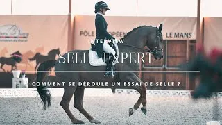 Miniature : Interview Selle Expert