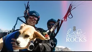 Miniature : FLYING BEAGLOU !