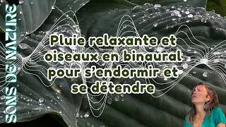 Miniature : [Sons de nature] ☔️ Immersion binaurale sous le parapluie pour s'endormir