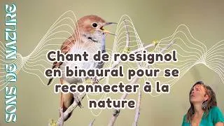 Miniature : [Sons de nature] 🐦 Chant de rossignol en binaural pour dormir, méditer et se détendre