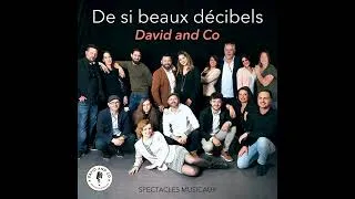 Miniature : David & Co - A m'en briser la voix