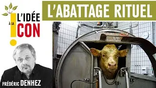 Miniature : L'idée à la con : l'abattage rituel