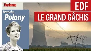 Miniature : Natacha Polony : "EDF, le grand gâchis"
