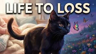 Miniature : Rescue Cat Made Friends and Found Family, Until the Unexpected Happened 🐈💔 | Cat Story