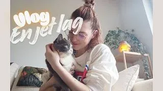 Miniature : Mes chats ne m'aiment plus 😱 - Vlog