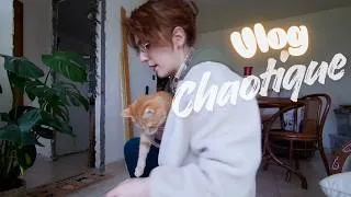 Miniature : La capture des fauves  - Vlog