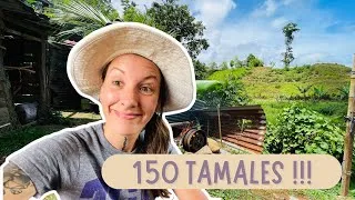 Miniature : Je réalise 150 Tamales !!!