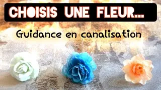 Miniature : CHOISIS UNE FLEUR... Message en canalisation ✨💌🌼 #tirageachoix #mariecartomancieetcompagnie 🔮🧙‍♀️🐱