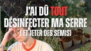 Miniature : Mon premier jardin… et j’ai perdu la moitié de mes semis 😅🌱