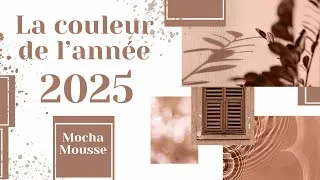 Miniature : Découvrez couleur de l'année 2025