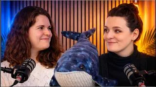 Miniature : Portrait : Angèle Niclas, entre maths et baleines