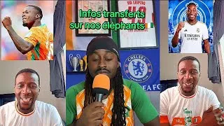 Miniature : NICOLAS PÉPÉ QUITTE LES ÉLÉPHANTS DE LA CÔTE D'IVOIRE ET FAIT DES RÉVÉLATIONS SUR LA FÉDÉRATION 