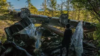 Miniature : 23. UN AVION ABANDONNÉ DE LA SECONDE GUERRE MONDIALE