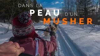 Miniature : 20. 1 MOIS AVEC DES CHIENS DE TRAINEAUX AU CANADA