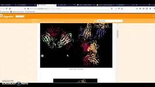 Miniature : tuto pour récupérer sa copie corrigée sur quizinière