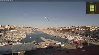 Miniature : MARINEFLOOR  - TIMELAPSE DU MONTAGE DU PONTON DE L’ARRIVÉE DE LA FLAMME OLYMPIQUE A MARSEILLE