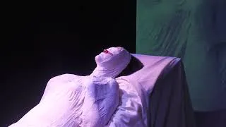 Miniature : METAMORPHOSE, expérience immersive, méditative par Marine Tessier