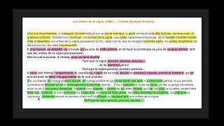 Miniature : Les Vrilles de la Vigne - Le rossignol 🐦 (texte en description) #bacdefrançais #oraldefrançais