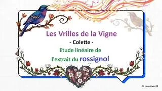 Miniature : Les Vrilles de la Vigne - Le rossignol 🐦 (texte en description) #bacdefrançais #oraldefrançais