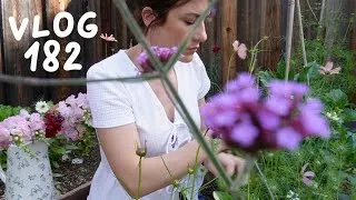 Miniature : Déco, lecture et jardin - VLOG 182