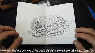 Miniature : Inktober 2020 -  illustration Challenge : SketchBook Tour 22 mots, 22 dessins à l'encre.