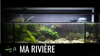 Miniature : UNE RIVIERE AVEC DU COURANT | Pour les sewellias (loches de rivière)